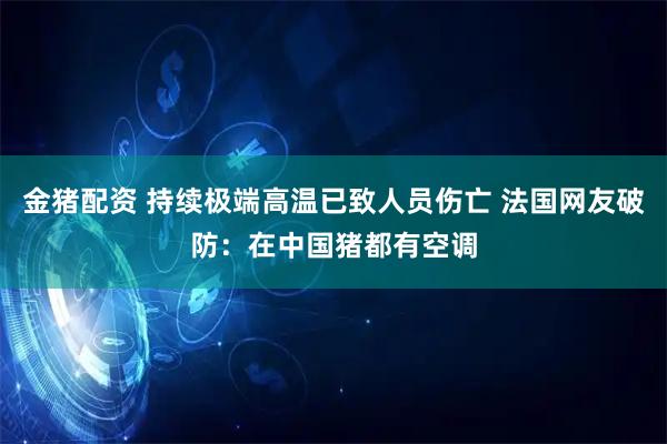 金猪配资 持续极端高温已致人员伤亡 法国网友破防：在中国猪都有空调